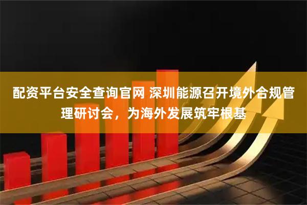 配资平台安全查询官网 深圳能源召开境外合规管理研讨会，为海外发展筑牢根基