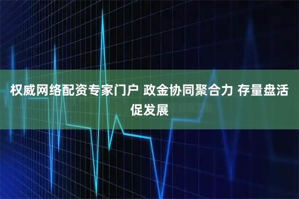 权威网络配资专家门户 政金协同聚合力 存量盘活促发展